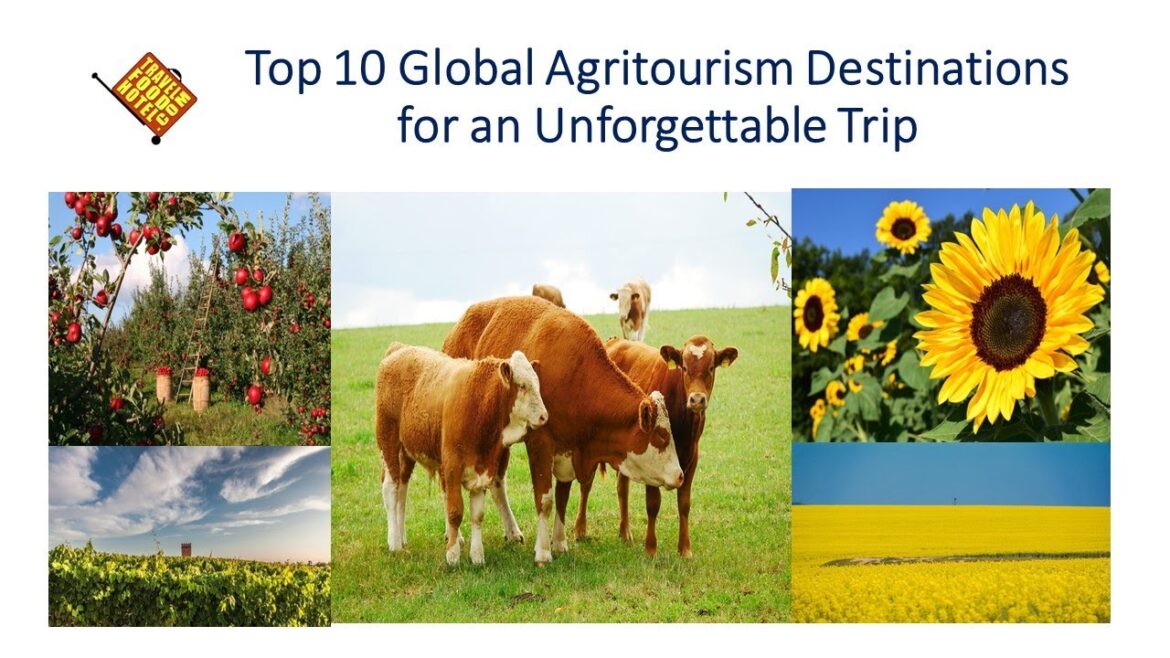 Top 10 Global Agritourism Destinations for an Unforgettable Trip #Shorts