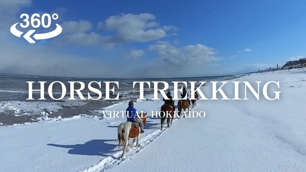 【VR】Abashiri Horse Trekking