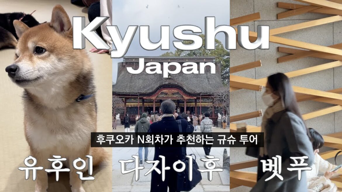 후쿠오카 N회차가 추천하는 규슈 투어👹 | Dynamic Kyushu tour | Travel Log | 일본여행 • 유후인 • 다자이후 • 벳푸/ vlog, fukuoka