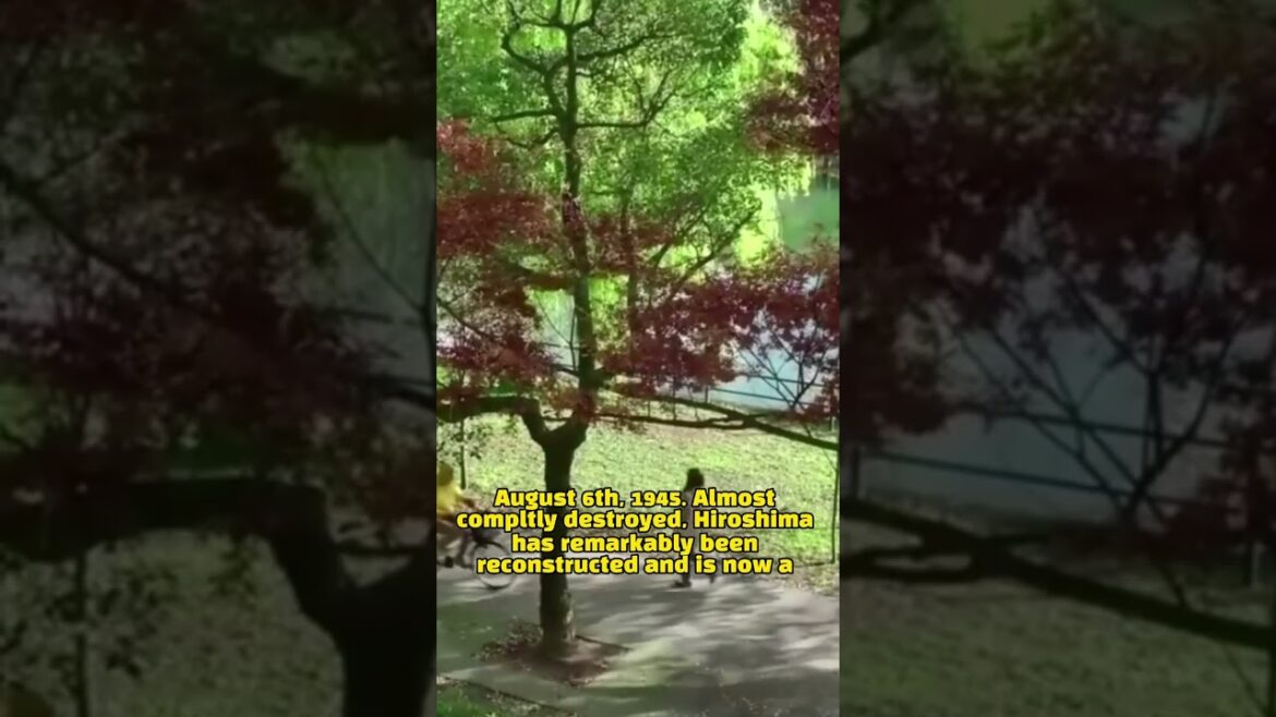 Hiroshima One of The Best Places That Can Be Traveled in Japan