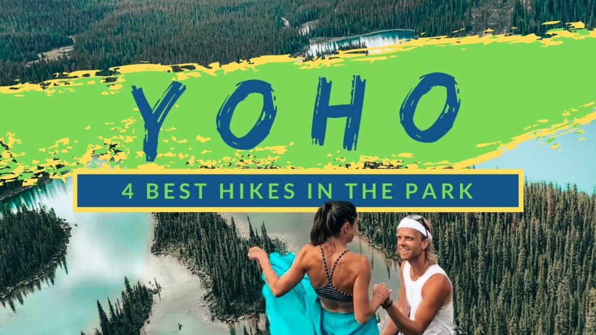 4 BEST HIKES IN YOHO NATIONAL PARK | Waterfalls, Mountains, Lakes, & Valleys! [CANADA'S HIDDEN GEM!]