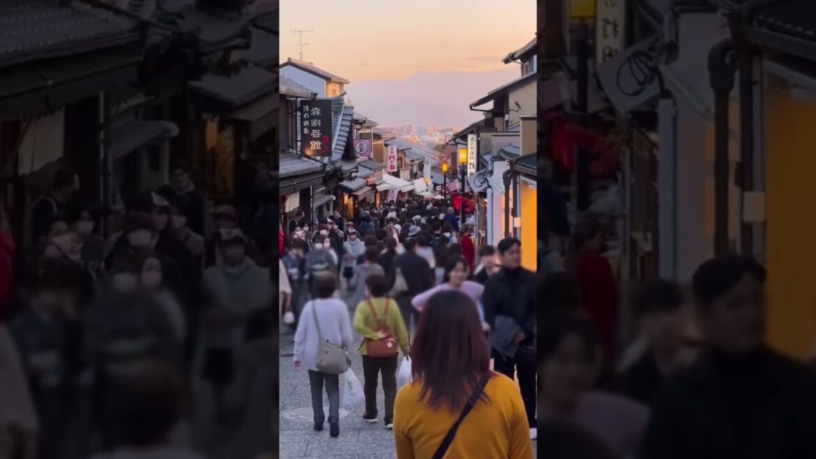 Kyoto⛩️🇯🇵💮 Expectation😍🥰 vs Realty😓😅 #japan #japantravel #kyoto #winter #howto #jirosan #jirosantv