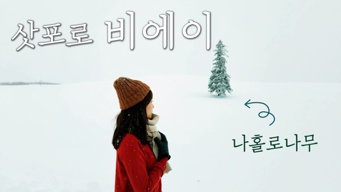 겨울 비에이는 무적권 버스투어로 가세요! | 비에이 버스투어 후기 | 일본여행 브이로그 | 삿포로 비에이 | Biei tour vlog 겨울 비에이는 무적권 버스투어로 가세요! | 비에이 버스투어 후기 | 일본여행 브이로그 | 삿포로 비에이 | Biei tour vlog