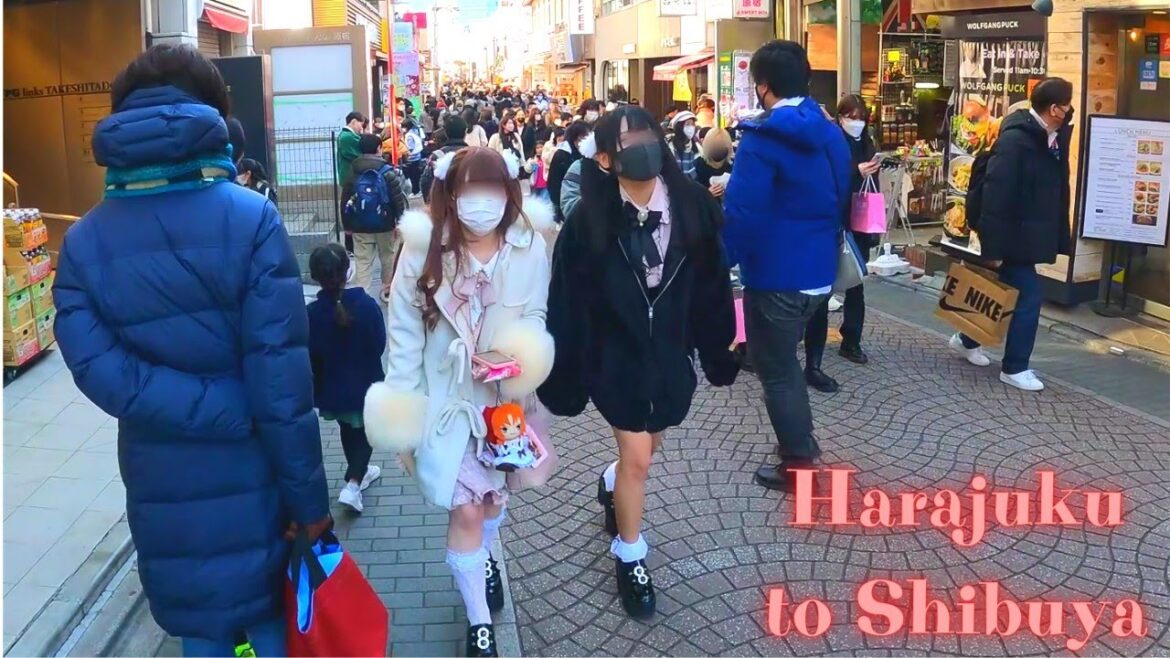 Harajuku to Shibuya Tokyo, in Japan walking tour【4K】1.2023