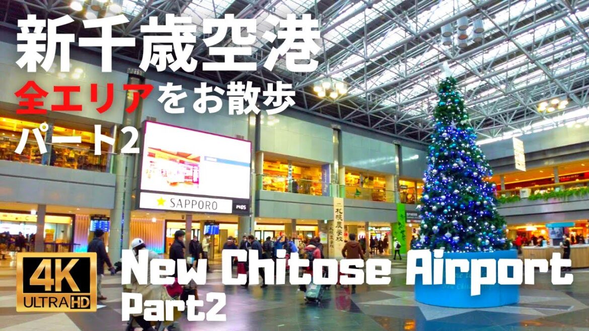 【Airport Walk】Shops of New Chitose Airport in Hokkaido, Japan. - Part2 - Domestic Terminal