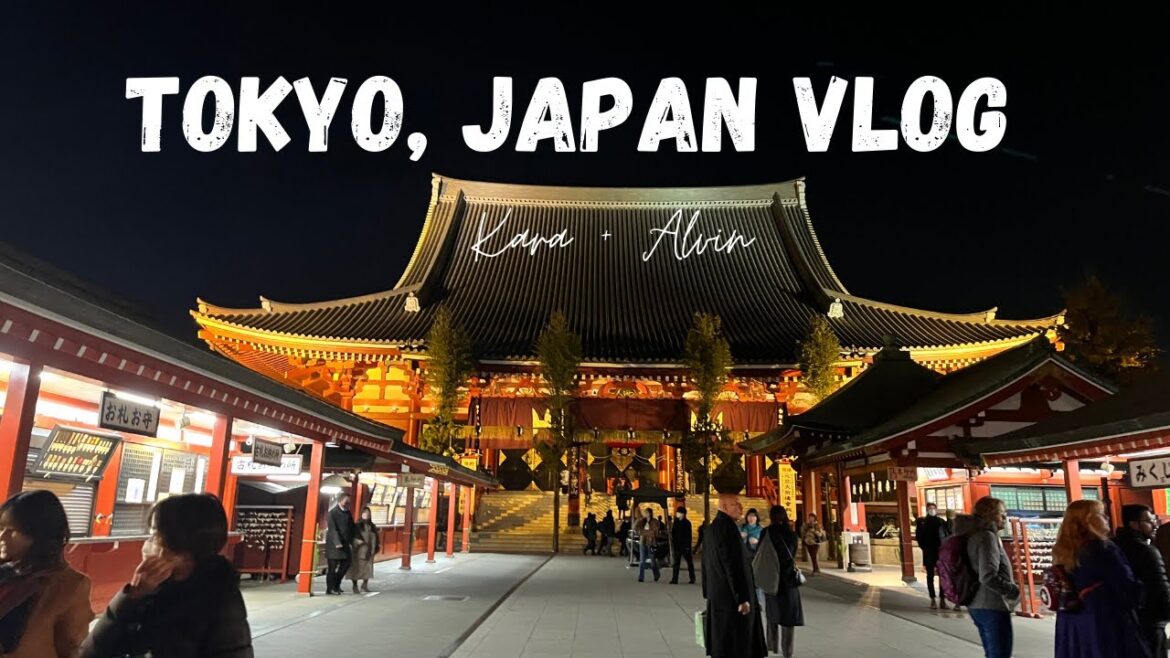 VISITING TOKYO DISNEYLAND, TEAMLAB, SKYTREE, AND TOKYO TOWER | JAPAN VLOG PART 2