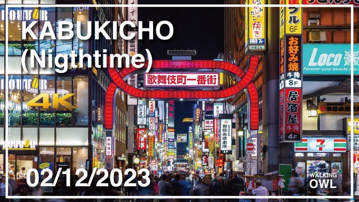 [4K] Japan short trip＞Kabukicho Walk(Nighttime) 歌舞伎町　02/12/2023