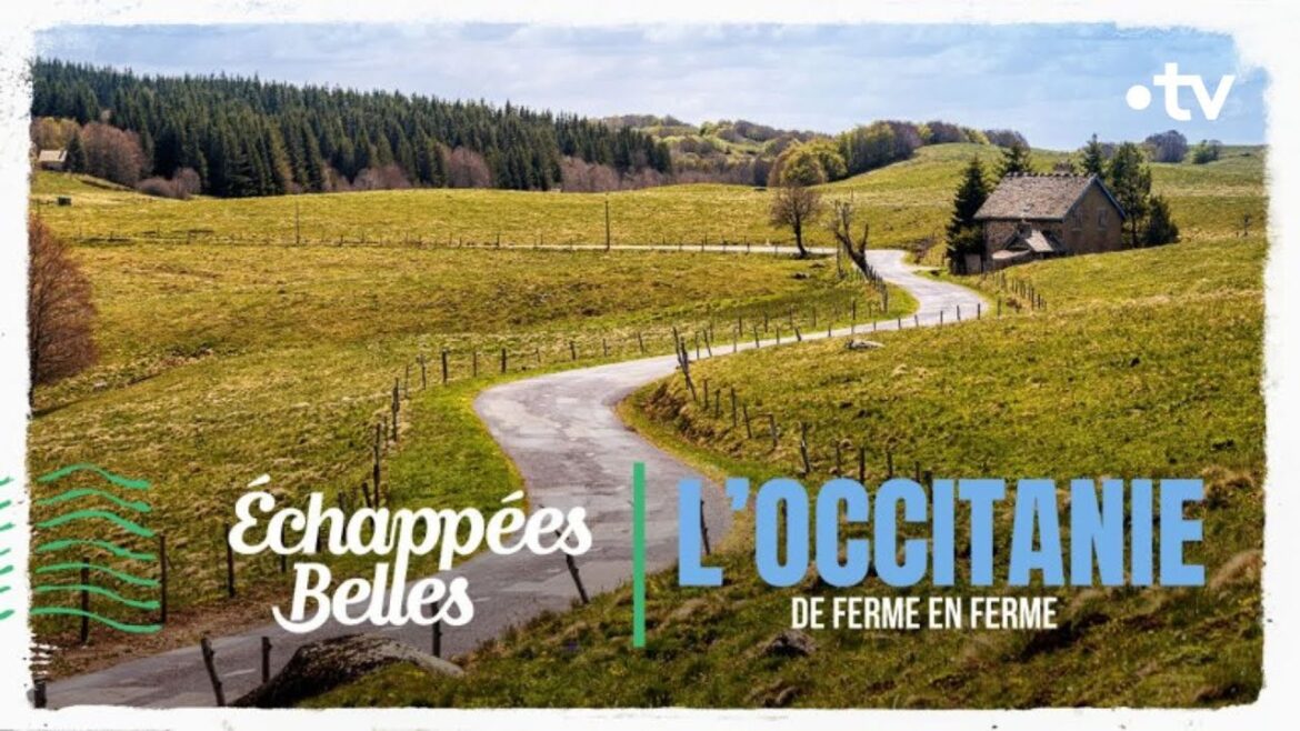 L'Occitanie, de ferme en ferme – Echappées belles L'Occitanie, de ferme en ferme - Echappées belles