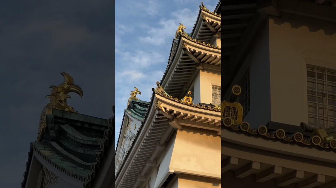 GOLDEN Osaka Castle at Sunset 🏯 GOLDEN Osaka Castle at Sunset 🏯