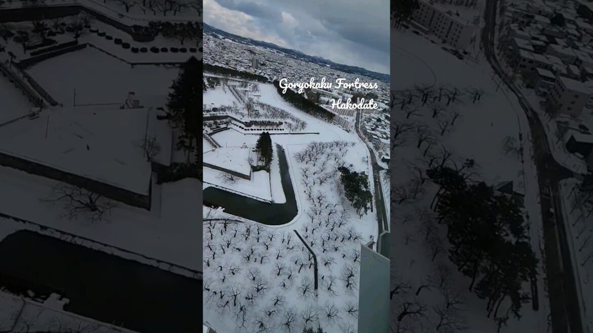 Goryokaku Fortress, Hakodate #beautiful #japan #hokkaido #travel  #scenery #hakodate #goryokaku