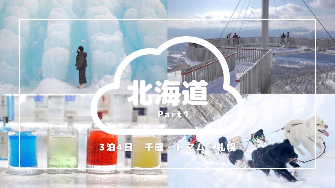 【北海道】3泊4日 冬の札幌・トマム・千歳 Part1(with English subtitles) 【北海道】3泊4日 冬の札幌・トマム・千歳 Part1(with English subtitles)