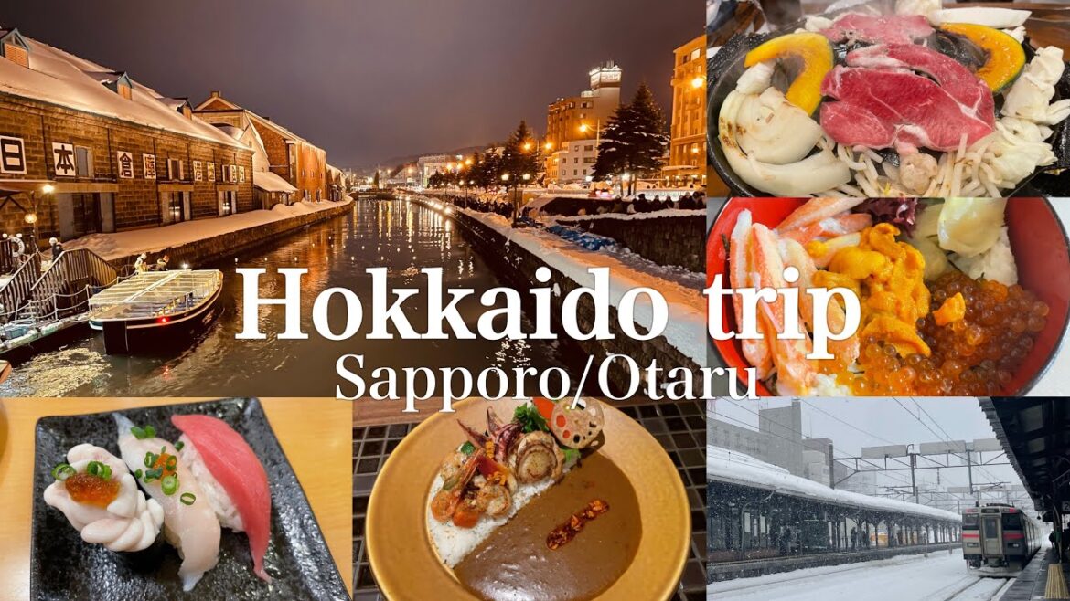 Hokkaido travel vlog in winter❄️ | Otaru & Sapporo | Hokkaido Japan【4K】 Hokkaido travel vlog in winter❄️ | Otaru & Sapporo | Hokkaido Japan【4K】