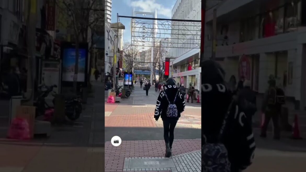 Morning Walk in Yokohama