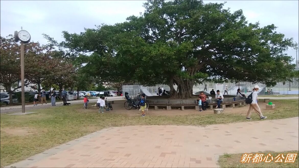 おもろまち新都心公園／ウォーキング 2020,12,27 COVID-19