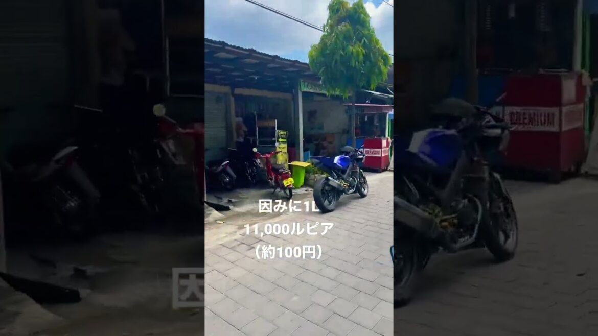 1L100円のガソリン #バリ島 #ガソリン価格 #bali #shorts