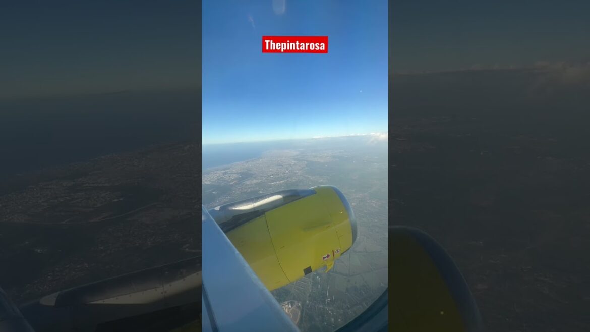 BACHATA EN FUKUOKA. #fukuokajapan #spirit #airplane #vacation @juanluisguerra @ThePintarosa01