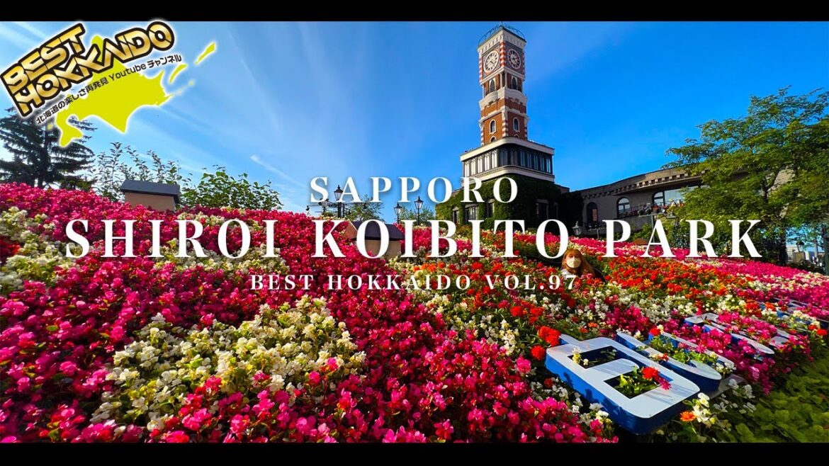 白い恋人パーク4K/北海道の絶景景色【BESTHOKKAIDO_VOL.97】Superb view of Hokkaido/Shiroi Koibito Park 白い恋人パーク4K/北海道の絶景景色【BESTHOKKAIDO_VOL.97】Superb view of Hokkaido/Shiroi Koibito Park