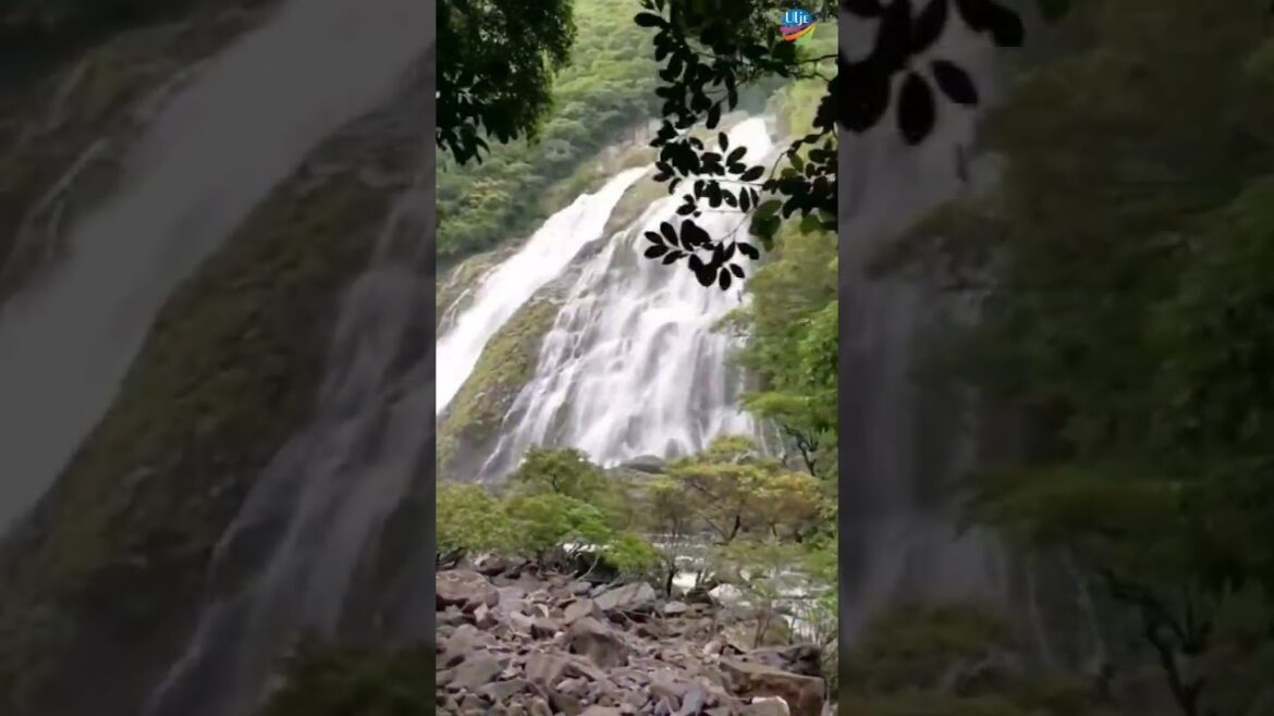 Waterfall in Japan #shorts