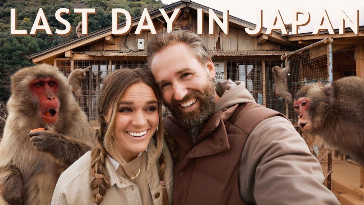 HOW WE SPENT OUR LAST DAY IN JAPAN (the ultimate Kyoto travel guide) HOW WE SPENT OUR LAST DAY IN JAPAN (the ultimate Kyoto travel guide)