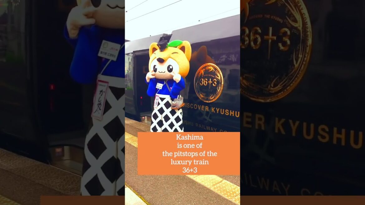 Let’s drink SAKE in #japan #japantravel