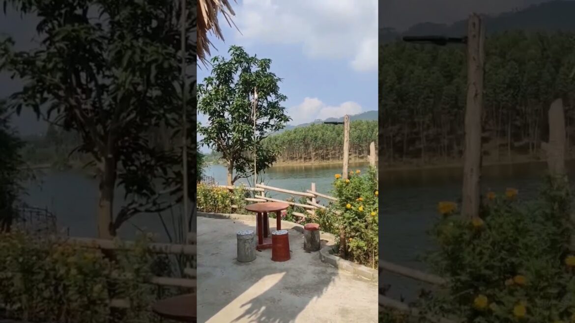Beautiful Farmstay with a Lake View in Vietnam – 160kms from Hanoi – Wifi 200mbps #digitalnomad Beautiful Farmstay with a Lake View in Vietnam - 160kms from Hanoi - Wifi 200mbps #digitalnomad