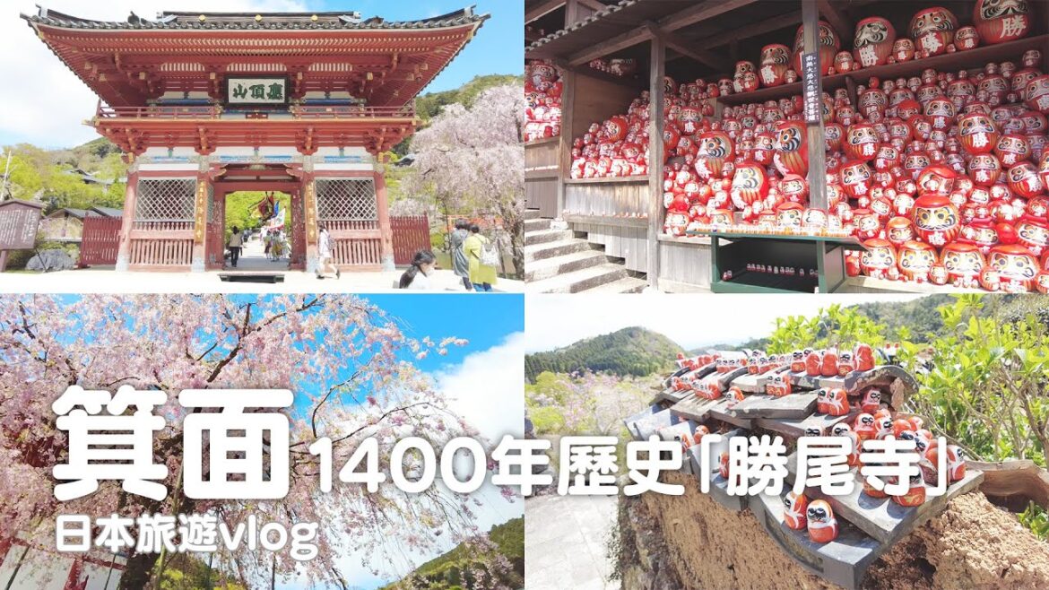 大阪|1400年歷史!箕面必勝寺廟「勝尾寺」!寺廟到處都是不倒翁達摩、有求必應超靈驗|日本旅遊vlog/Japan travel 2022 Osaka vlog 大阪|1400年歷史!箕面必勝寺廟「勝尾寺」!寺廟到處都是不倒翁達摩、有求必應超靈驗|日本旅遊vlog/Japan travel 2022 Osaka vlog
