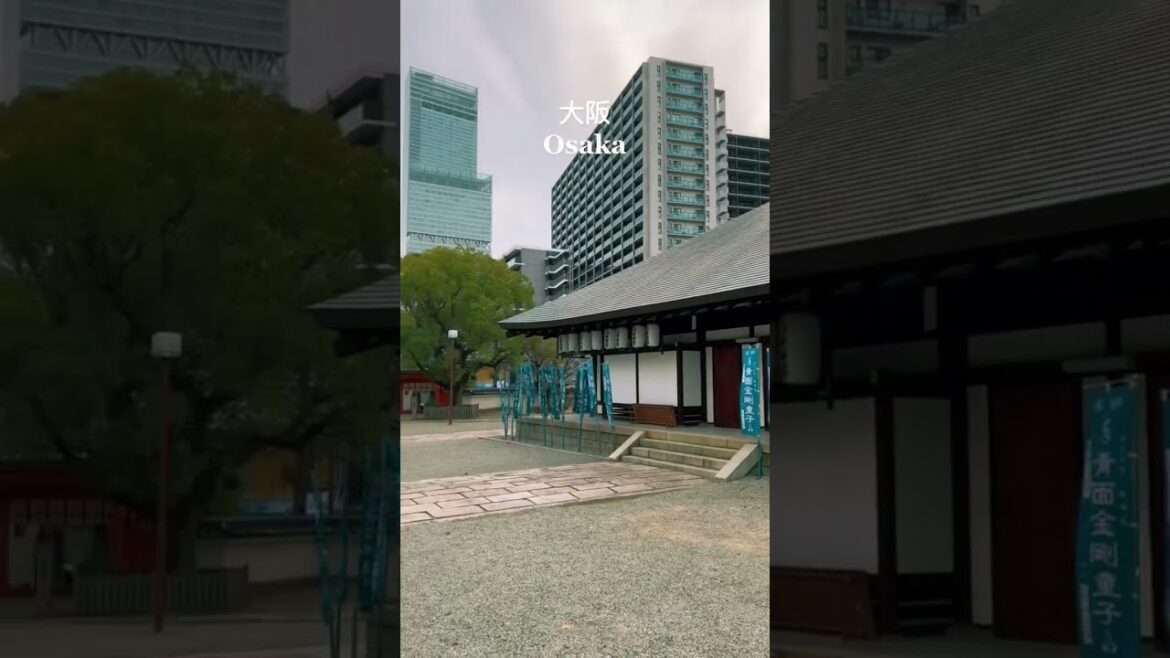 OSAKA -JAPÓN #travel  #anime #aweekofmylife #gamer #osaka #cosplay #japan #tranding #asia