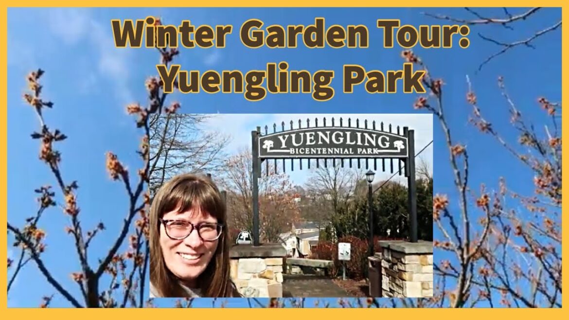 🌲Winter Garden Tour of Yuengling Park: Identifying Trees and Local History
