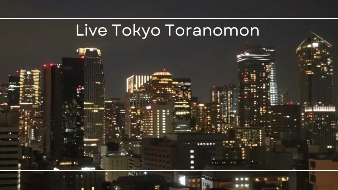 Night view of skyscrapers in central Tokyo/東京都心の高層ビル群の夜景 2023.2.20-21