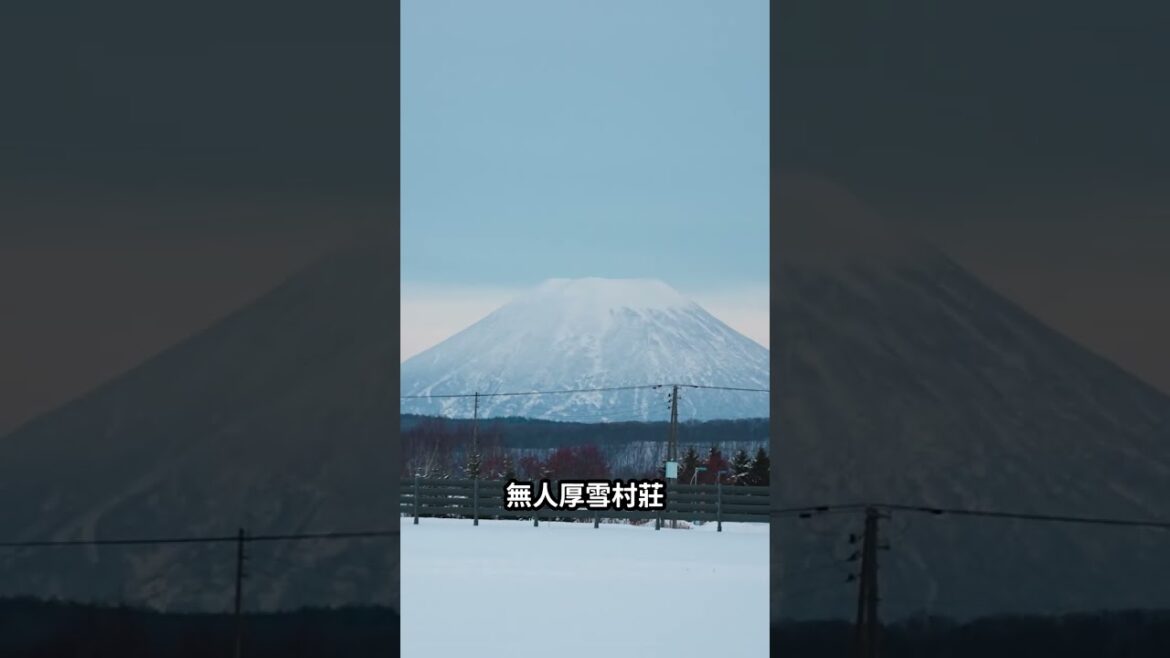 ๐ฏ๐ตๅๆตท้้ชๅฐ่ช้ง้้ๅฐ็ๆๆ๐ฑๆๆ่ถฃ็็ๆณ๏ผ๏ผ #shorts #ๅๆตท้ #่ช้ง้ ๐ฏ๐ตๅๆตท้้ชๅฐ่ช้ง้้ๅฐ็ๆๆ๐ฑๆๆ่ถฃ็็ๆณ๏ผ๏ผ #shorts #ๅๆตท้ #่ช้ง้