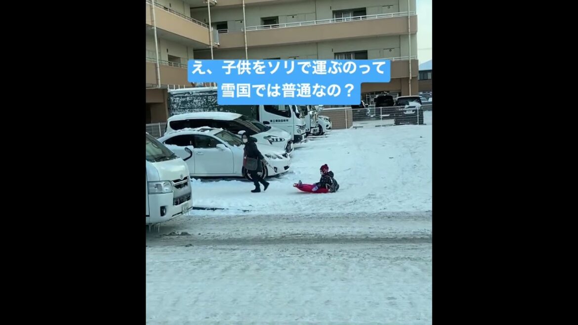 普通がわかりません #shorts #sendai #tohoku