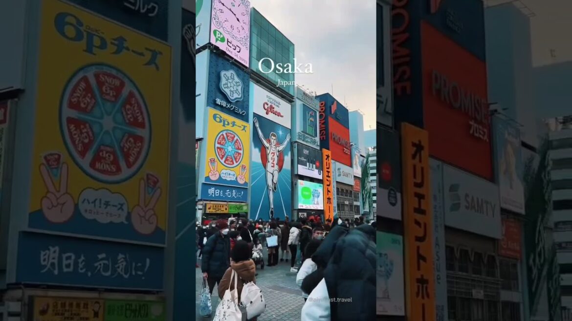 walking through 3rd largest city in #japan 🇯🇵 walking through 3rd largest city in #japan 🇯🇵