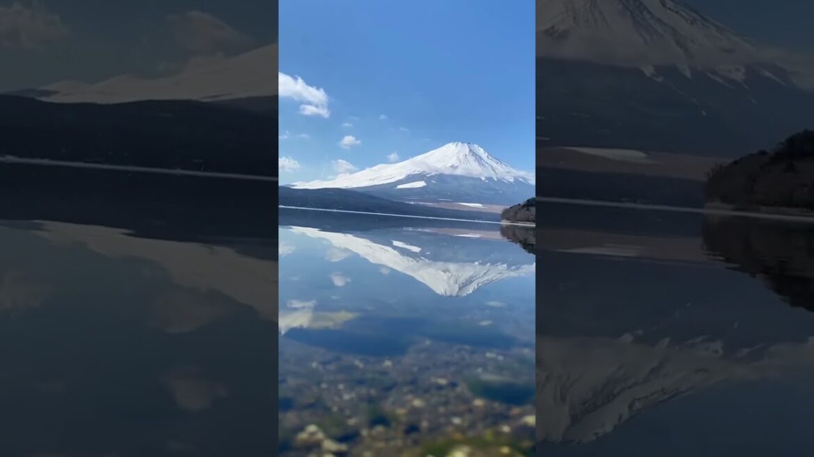 Yamanakako Mt. Fuji