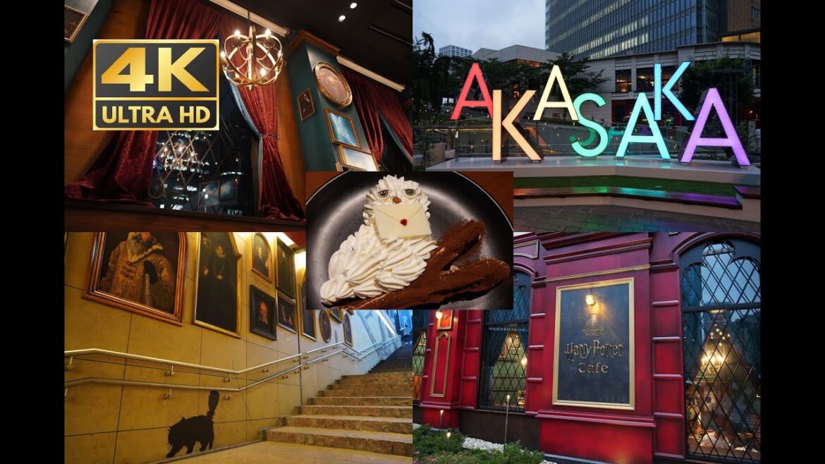 【４K】期間限定！ハリーポッターカフェ潜入｜♯１５