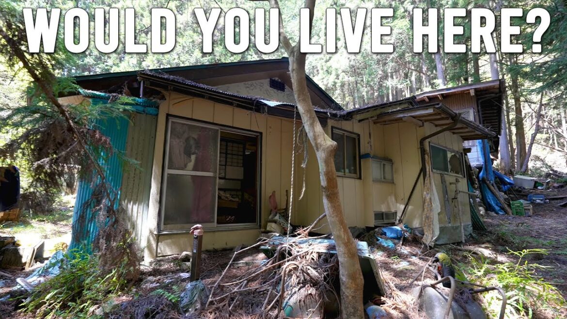 Japan's Millions of Abandoned "Witch Houses" Explained...