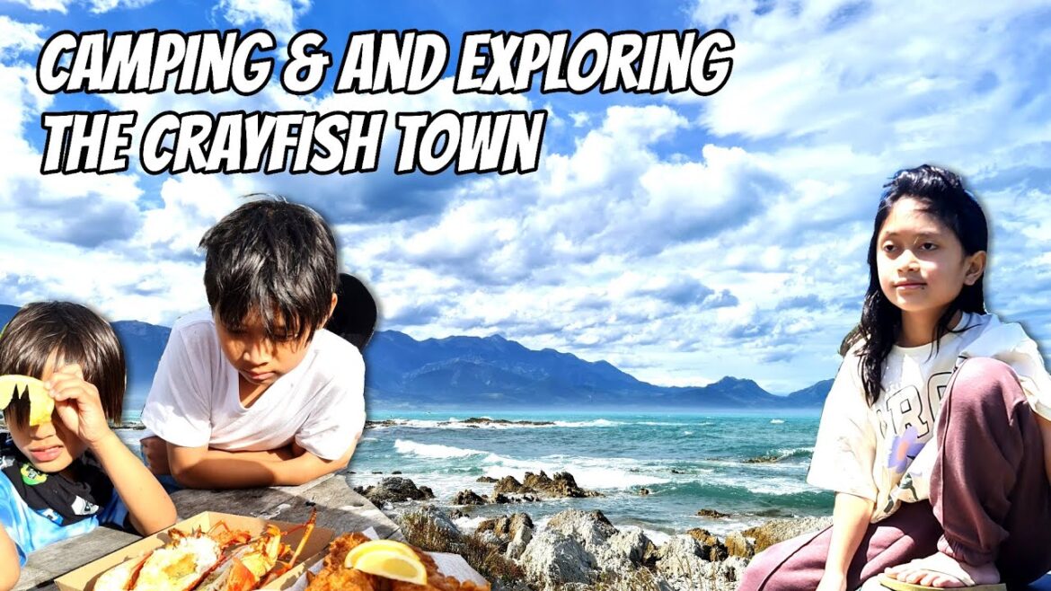 Camping at Top 10 Holiday Park Kaikōura, New Zealand! 🏕 Things you must do on the 1st day 📍