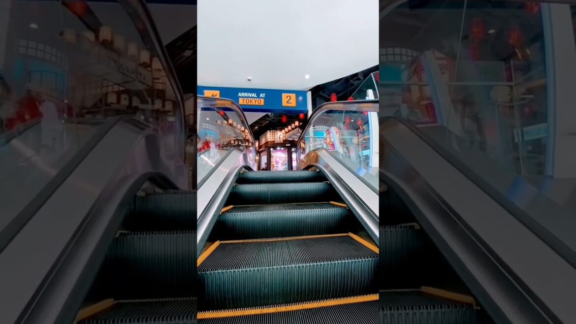 welcome to Tokyo #ytshorts #travel #city #viralshort #shorts #shortsfeed