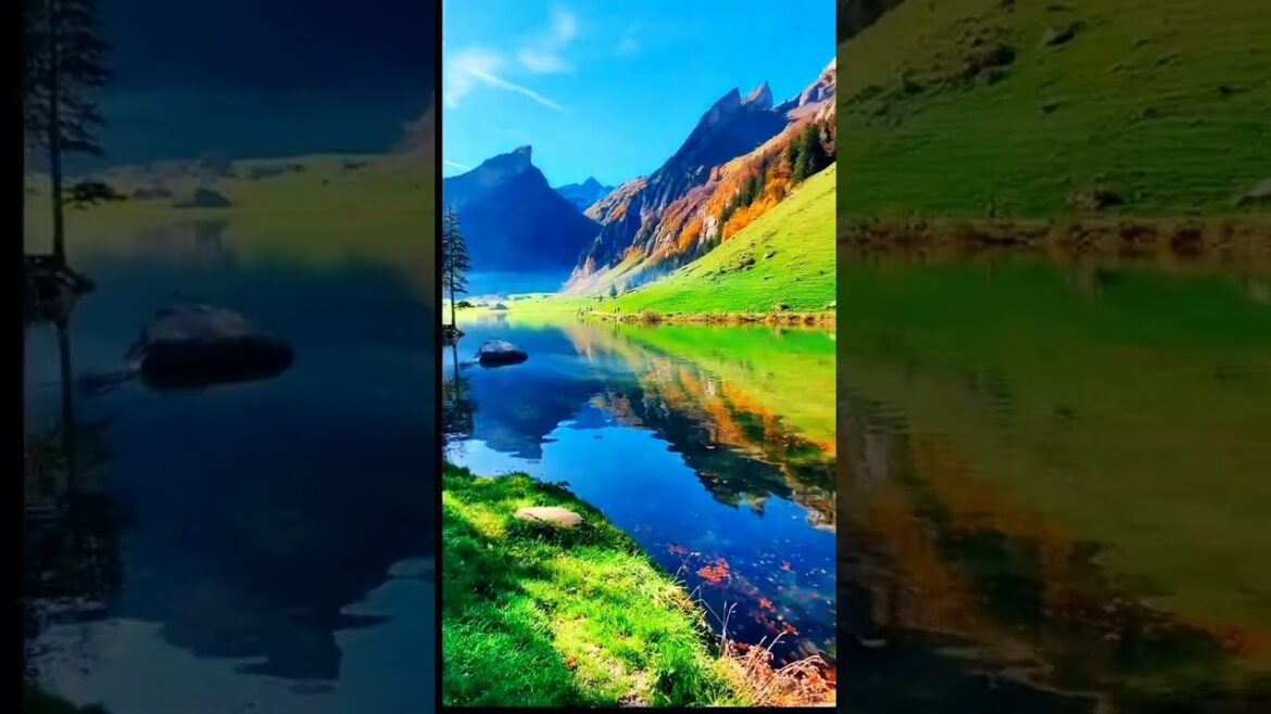 Beautiful Nature. 😍 Nature beauty. Photography #ytshort #shortvideo #foryou #shorts #nature