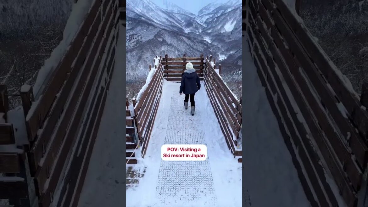 🎿Take in the view and hit the slopes in Japan! 🎿Take in the view and hit the slopes in Japan!