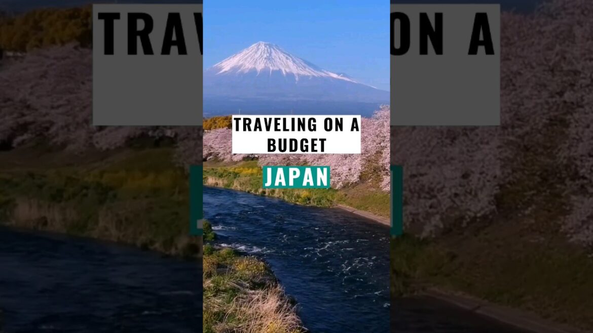 Good to know when traveling to Japan 🇯🇵✈️ #shorts #travel #japan #traveldiaries #traveldestination