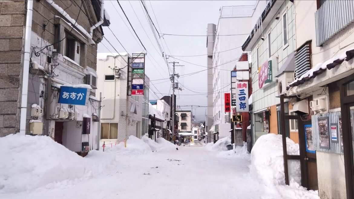 #208    2023年1月30日　小樽３　花園グリーンロードからウォーキング