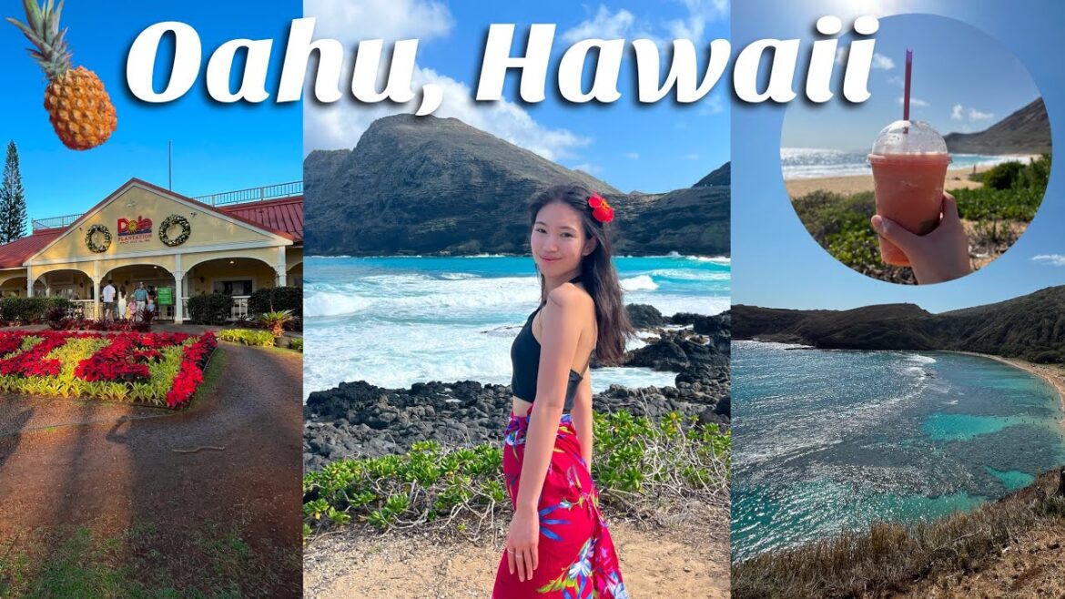 OAHU, HAWAII VLOG 🌺 / Exploring Hanauma Bay, Snorkeling, Dole Plantation, Delicious Food, and More! OAHU, HAWAII VLOG 🌺 / Exploring Hanauma Bay, Snorkeling, Dole Plantation, Delicious Food, and More!