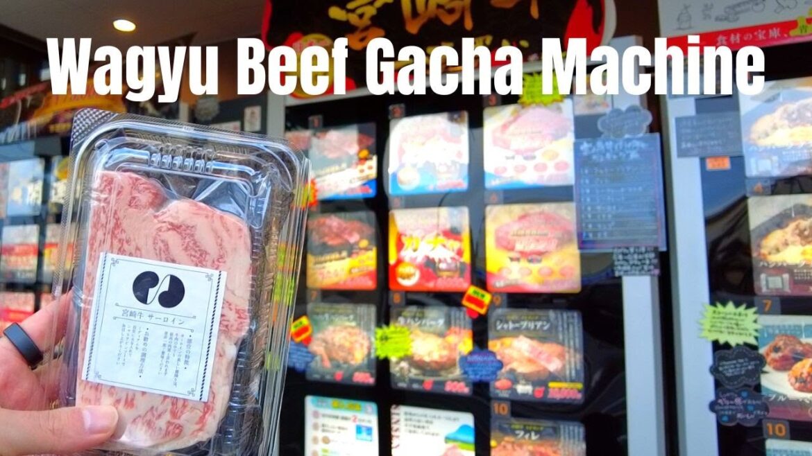 Wagyu Beef Gacha Vending Machine in Japan | Truffle Vending Machine