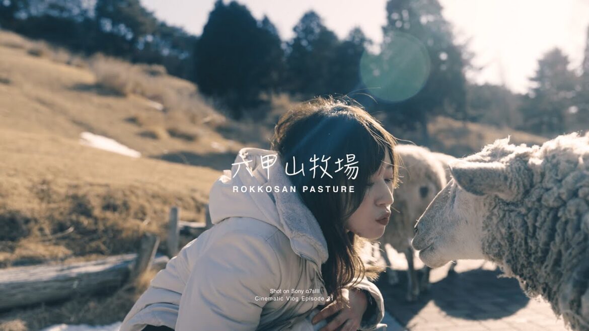 ROKKOSAN PASTURE | 六甲山牧場 | Cinematic Vlog Shot on Sony FE 24-70mm F2.8 GMⅡ|FE 50mm F1.2 GM ROKKOSAN PASTURE | 六甲山牧場 | Cinematic Vlog Shot on Sony FE 24-70mm F2.8 GMⅡ|FE 50mm F1.2 GM