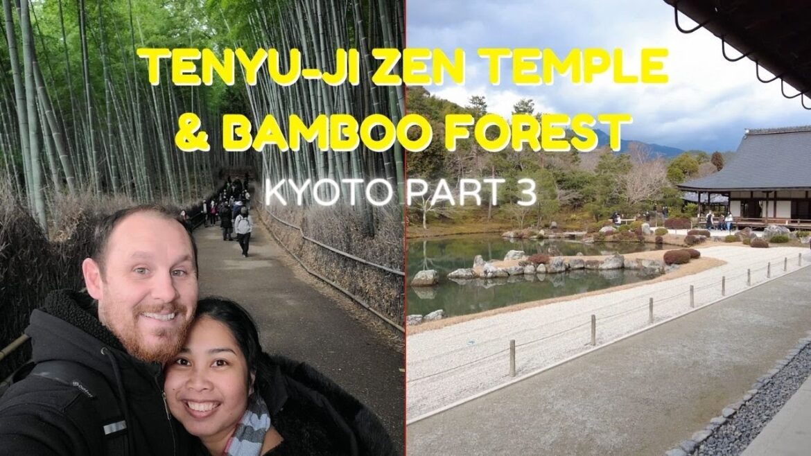 Tenyu-ji Zen Temple + Bamboo Forest - Kyoto Part 3 | Japan Vlog