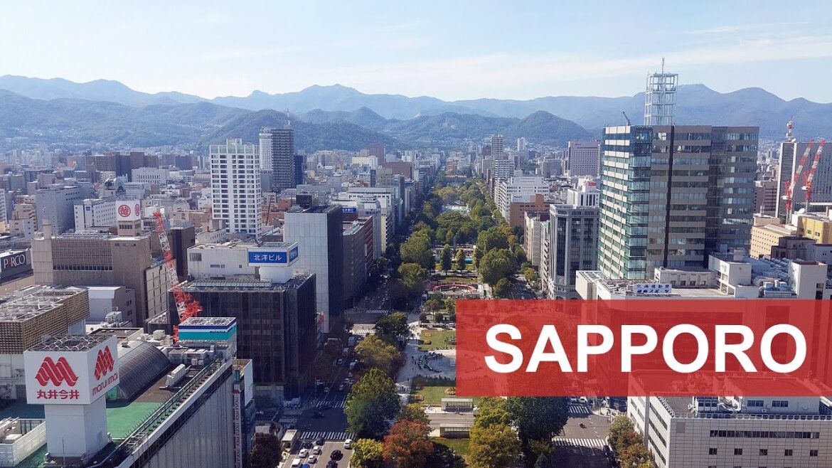 Four Seasons in Sapporo, Hokkaido, Japan! Nature Sounds | Kyuhoshi Four Seasons in Sapporo, Hokkaido, Japan! Nature Sounds | Kyuhoshi