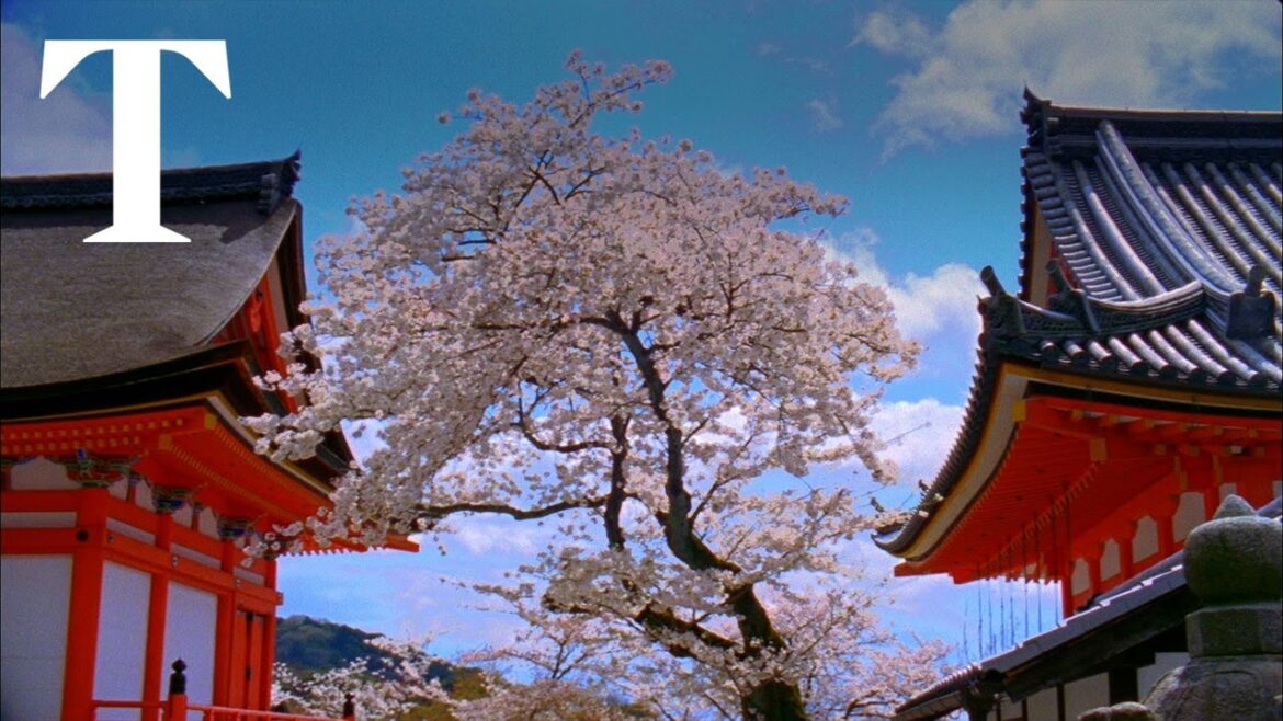 See the best new bits of Japan before anybody else | Times Travel See the best new bits of Japan before anybody else | Times Travel