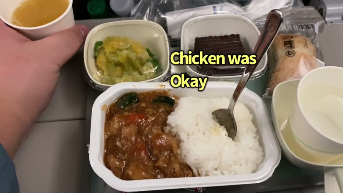 Economy Class Delta Flight from DTW to ORD and Korean Air From ORD to Changi Airport Singapore 2023