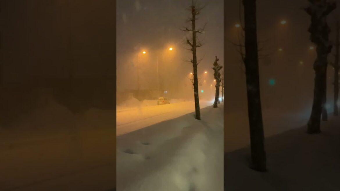 【北海道】美しい吹雪 北国の道路は非現実的 #Shorts 【北海道】美しい吹雪 北国の道路は非現実的 #Shorts