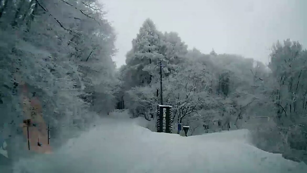 Snowy road driving Nagano Prefecture,  Japan Hijiri Kogen 雪道ドライブ 長野県 聖高原 樹氷